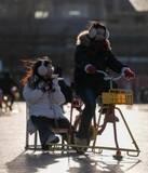 「什刹海の前海でスケートリンクの営業が開始―北京市」の画像8