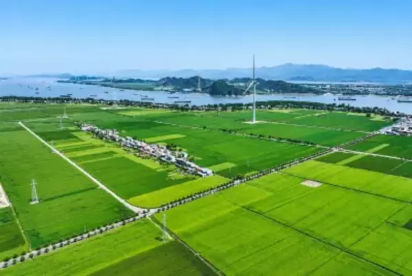 長江に初の「ゼロカーボンアイランド」が誕生―中国