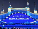 「第42回中国・ハルビン氷雪祭が開幕」の画像1