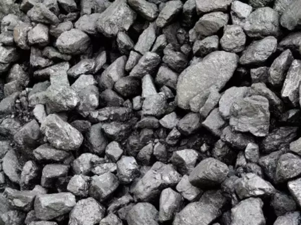 2030年めどに石炭の生産能力ストックを年間1億トン以上に引き上げる計画―中国