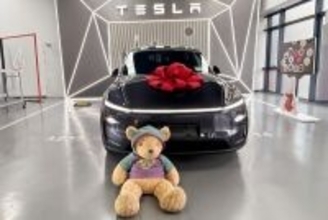 新エネ車は「毎年買い替える」ものなのか？―中国メディア