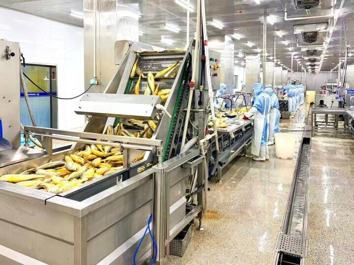 スマート化で変わる養殖業、フウセイ養殖が200億元の大産業へ成長―中国
