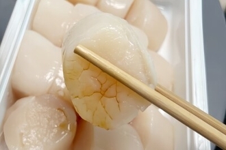 台湾への感謝の想い、日本人がつくった歌「友情のホタテ」が話題に―台湾メディア