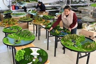 ジオラマが現地の農村振興の原動力に―河北省