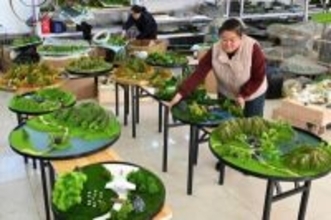 ジオラマが現地の農村振興の原動力に―河北省