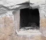 「ドローンを飛ばしていた男性が崖の空洞でミイラ化した人の遺体を発見―中国」の画像3