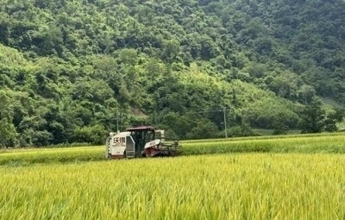 滴滴農機の北斗端末接続台数が1万7500台突破、作業面積は4万1300ヘクタール超に―中国