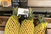 日本で台湾パイナップルの品質問題が多発、価格崩壊―台湾メディア