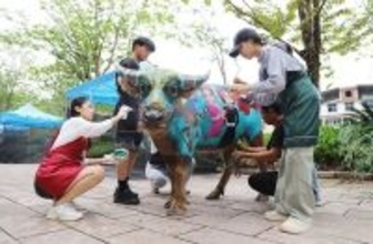 雲南省プーアル市で牛のボディ・ペインティングコンテスト開催―中国