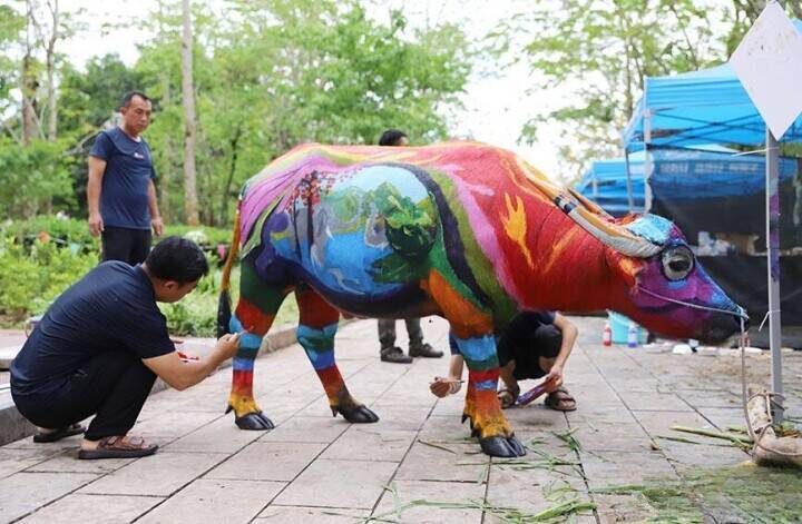 雲南省プーアル市で牛のボディ・ペインティングコンテスト開催―中国