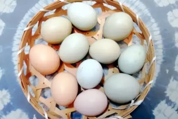 ネットで拡散する「ホルモン卵」のうわさ、本当なのか―中国メディア