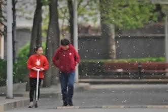 北京市民を悩ませるポプラと柳の綿毛