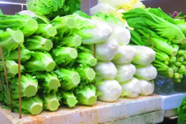 数字で見る2026年政府活動報告―中国