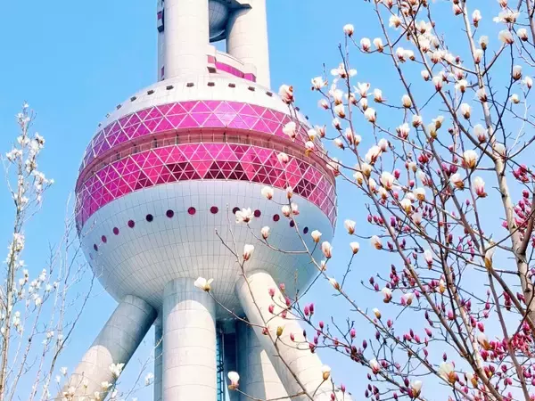 「韓国の中学生が上海の東方明珠電視塔の展望台でふざけ騒ぐとする動画が中国のSNSで物議」の画像