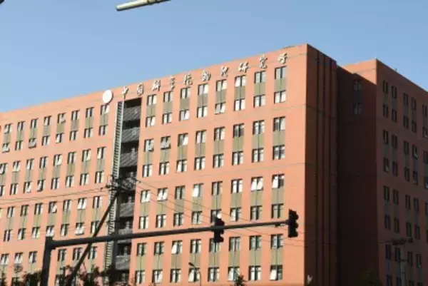 中国初の2次元金属材料作製法が英国物理学会による2025年科学十大ニュースに選出