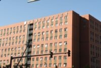 中国初の2次元金属材料作製法が英国物理学会による2025年科学十大ニュースに選出