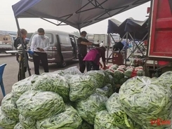 新型コロナ拡大で買いだめに走る北京市民、野菜供給量は安定保つ―中国