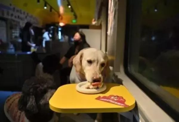 列車車両を利用したペットレストランに予約殺到―吉林省長春市