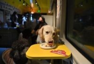 列車車両を利用したペットレストランに予約殺到―吉林省長春市