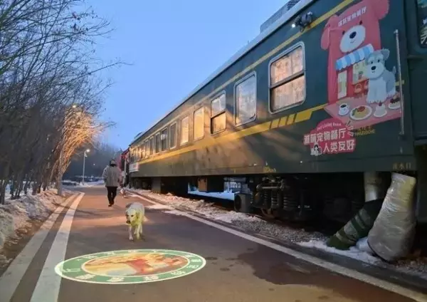 「列車車両を利用したペットレストランに予約殺到―吉林省長春市」の画像