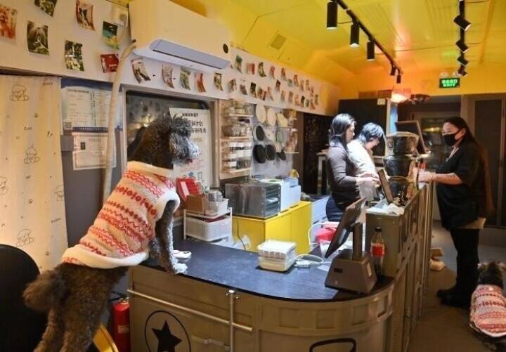 列車車両を利用したペットレストランに予約殺到―吉林省長春市