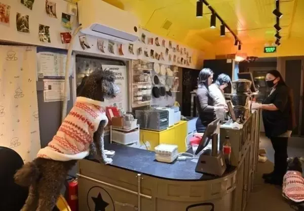 「列車車両を利用したペットレストランに予約殺到―吉林省長春市」の画像