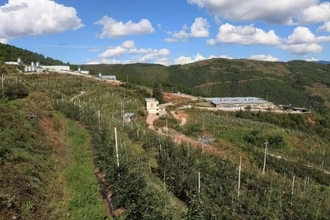 荒れ山が実り豊かな果樹園に、循環型農業で地域に雇用―四川省喜徳県