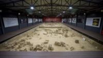 湖北省で東アジア最古のホモ・エレクトスを発見―中国