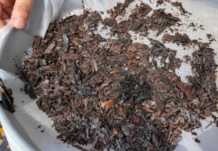 金沙遺跡の植物考古学で新成果、古代蜀の農業生産構造を解明―四川省成都市
