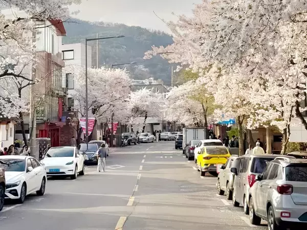 「韓国、ガソリン価格高騰で車通勤をやめて公共交通を利用する人続出―中国メディア」の画像