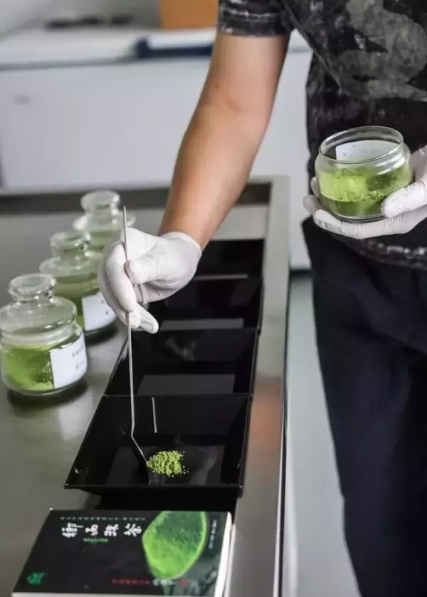 「浙江省武義県で抹茶の生産始まる、生産量と販売量が倍増の見込み―中国」の画像