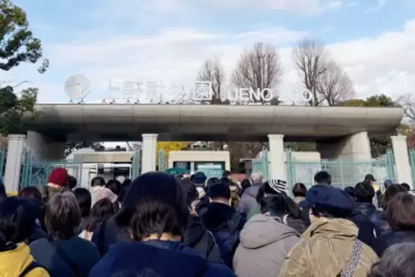 日本最後のパンダに？2頭が来週中国に返還＝中国ネット「恨むなら自分たちの首相を」