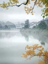 撮影コンテストで1等賞を受賞した作品にAI生成疑惑浮上―中国