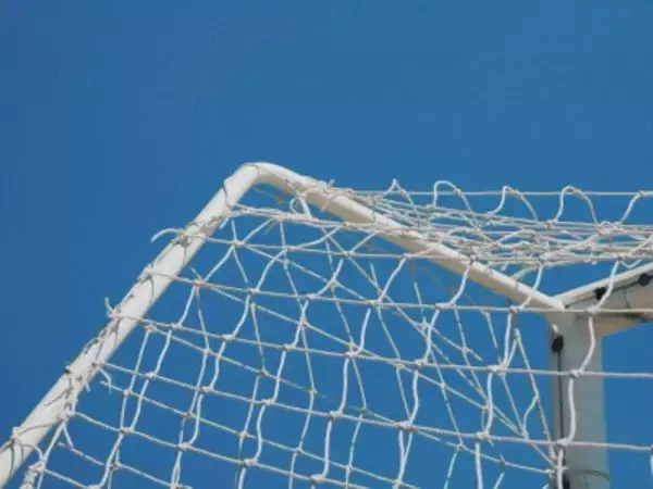 韓国サッカー協会の性接待疑惑に関連し、02年W杯での審判買収説が再燃―香港メディア