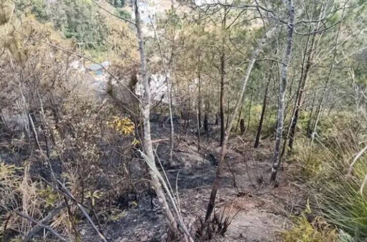 1日に5件の森林火災、原因はいずれも爆竹・花火―広東省梅州市