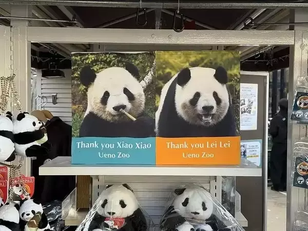 上野動物園のパンダ2頭が中国に返還へ、中国外交部「日本の皆さんがパンダに会いに中国に来ることを歓迎」