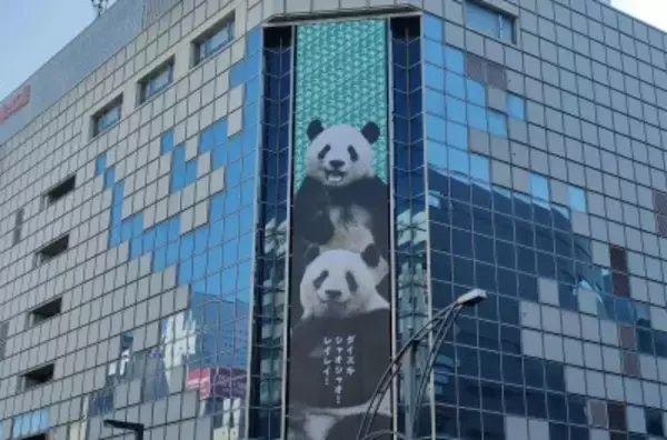 中国外交部、日本で暮らしていた双子パンダの帰国について言及