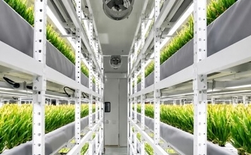 深センの建物内で稲栽培、年4回収穫を実現―中国