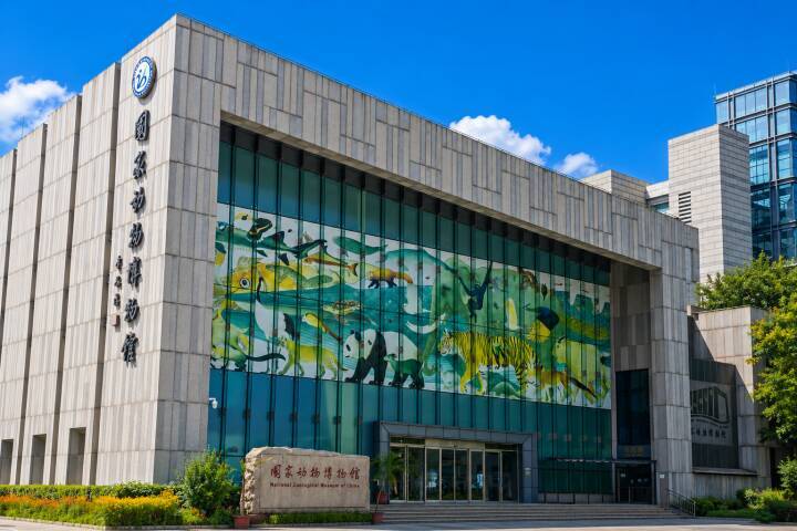 国家動物博物館が非難「2人の子どもが標本を手で掴み足で蹴る、父親も制止せず一緒にふざける」―中国