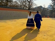 韓国の観光物価は高い？世界の主要観光都市と比較すると…＝韓国ネット「結論はやっぱり日本」