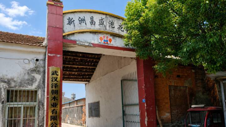 武漢の生態保護区域に潜む違法化学工場、高い住民の発がん率―中国メディア