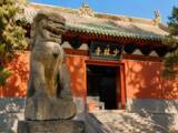 「少林寺「元CEO」に24年の有罪判決、ただし女性関係には触れず―中国メディア」の画像2