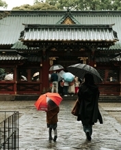雨と台風続きの日本、農作物や暮らしに深刻な影響＝韓国ネット「地球温暖化の影響を感じる」