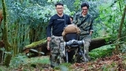ロボット犬調査隊員、哀牢山の密林で「冥界の花」ギンリョウソウモドキを撮影―中国
