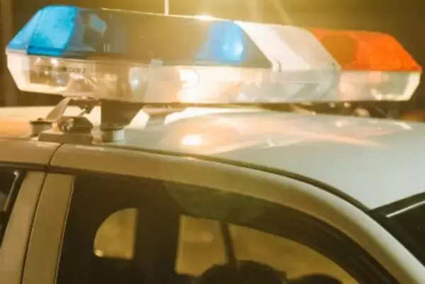 日本人女性の顔などを刃物で刺す、中国人の男逮捕＝中国ネットの反応は…