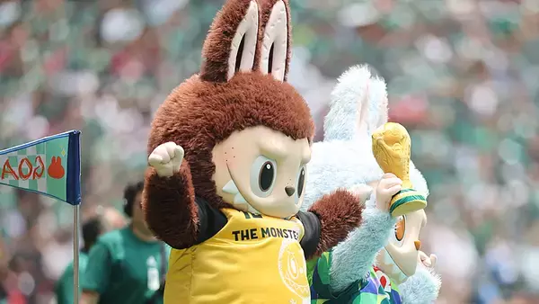 W杯を支える中国企業、応援グッズからAI技術、インフラまで全面参加―中国メディア