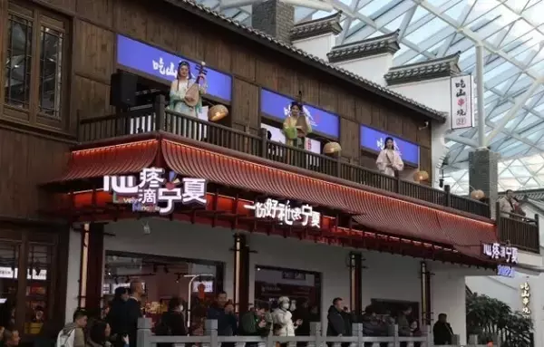 「西北エリア初、年間通じて江南の風景楽しめるテーマエリアが銀川に登場―中国」の画像