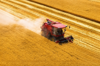 夏季穀物生産量が初めて1．5億トンを突破―中国