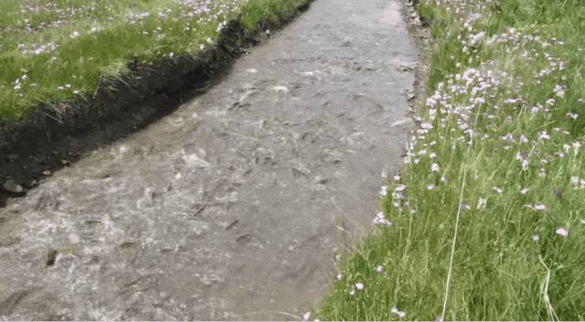 川が遡上する魚でいっぱいに、青蔵高原に年に一度の「湟魚回遊シーズン」到来―中国