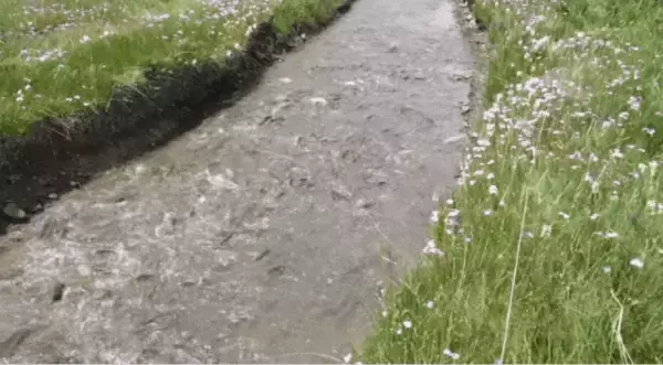 「川が遡上する魚でいっぱいに、青蔵高原に年に一度の「湟魚回遊シーズン」到来―中国」の画像